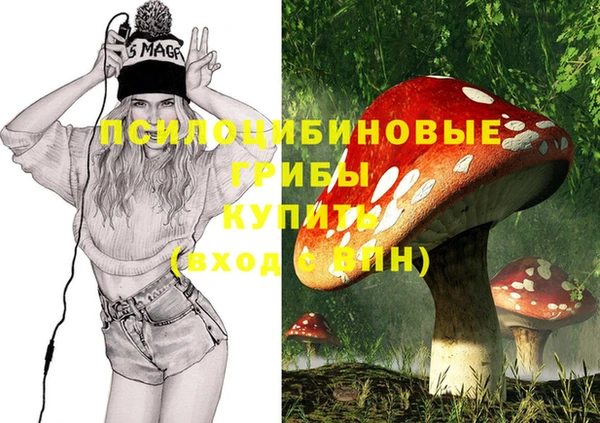 apvp Арсеньев